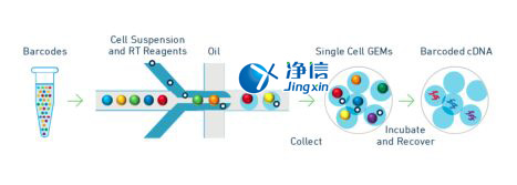 中國人自己的微流控單細(xì)胞測序儀來了！_微流控Drop-seq,微流控技術(shù)