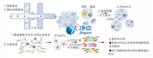 中國人自己的微流控單細(xì)胞測序儀來了！_微流控Drop-seq